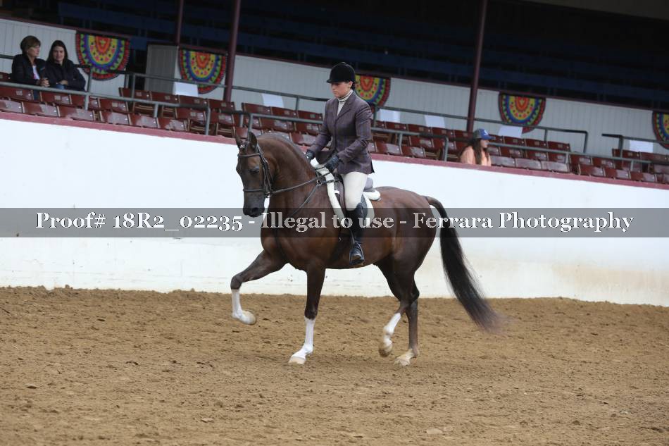 Proof 18R2_02235