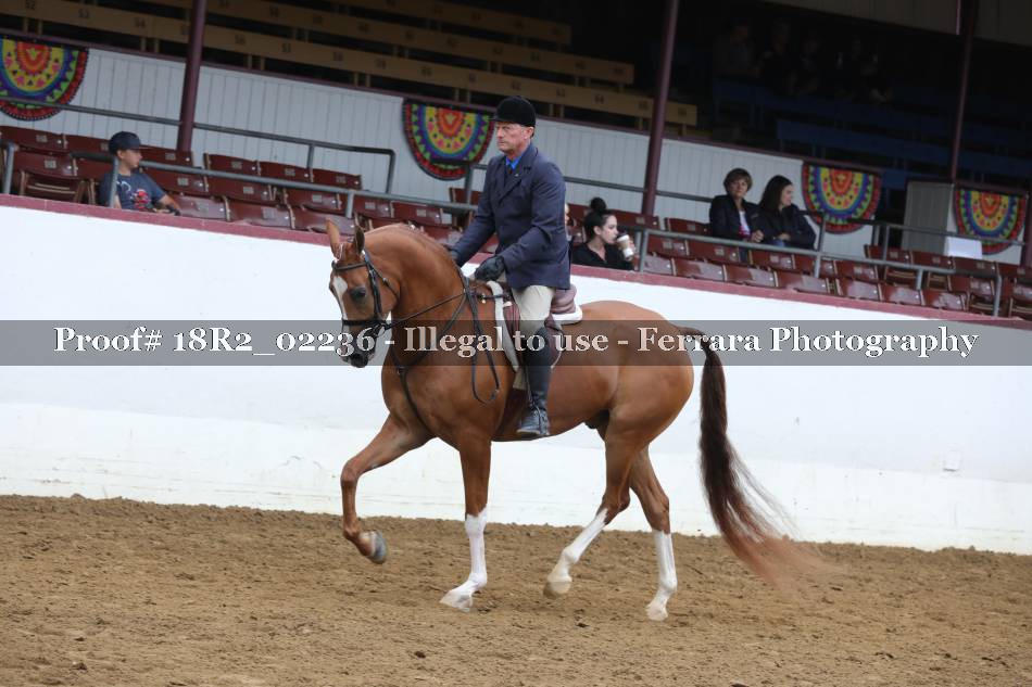Proof 18R2_02236