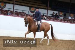 18R2_02236 proof