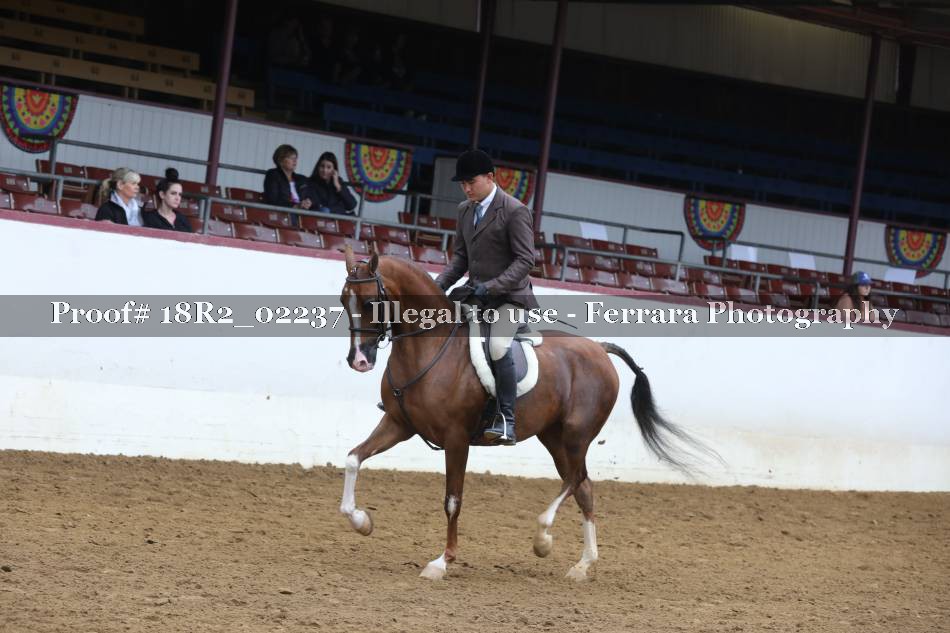 Proof 18R2_02237