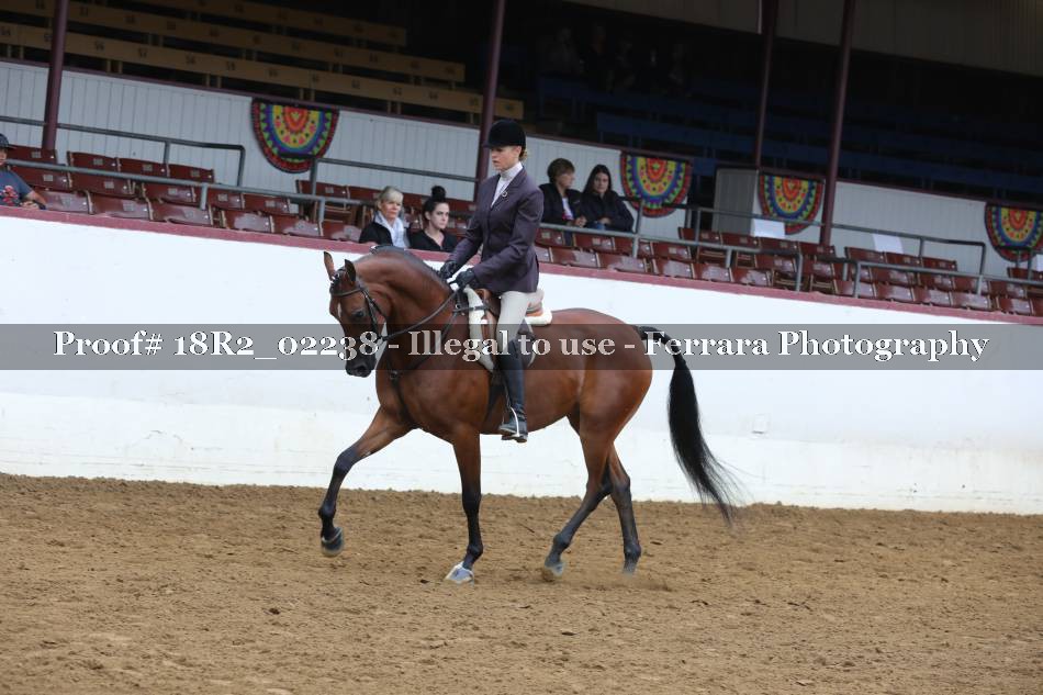 Proof 18R2_02238