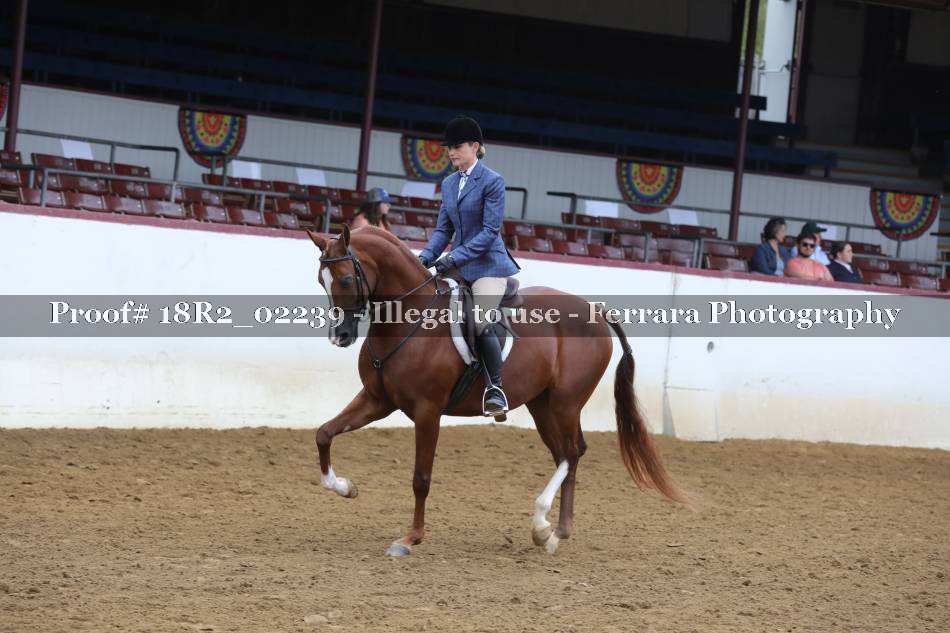 Proof 18R2_02239
