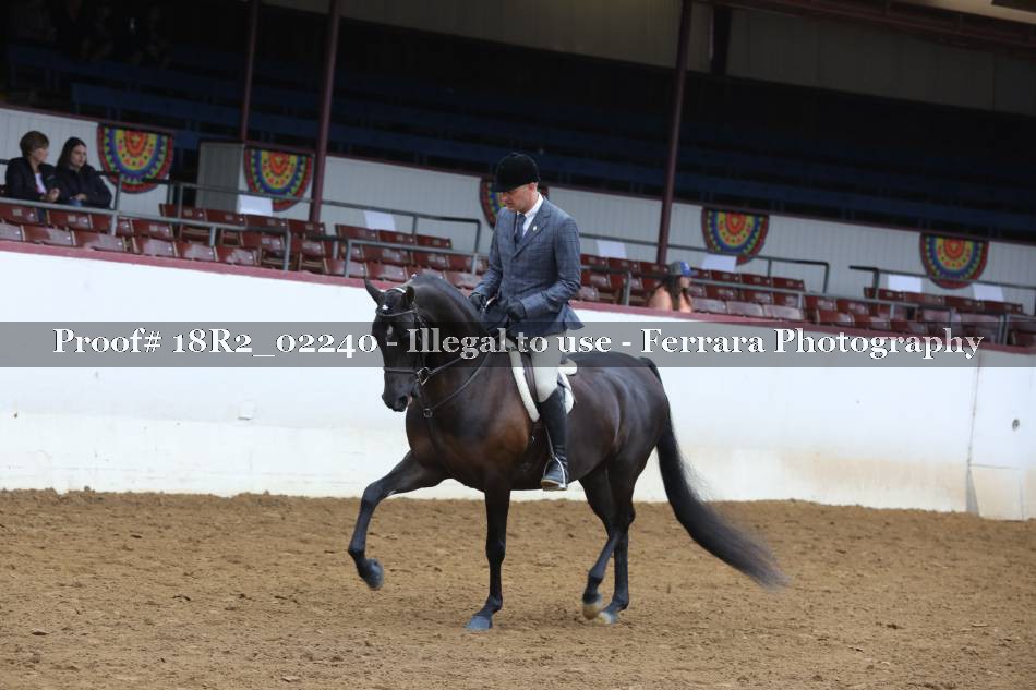 Proof 18R2_02240