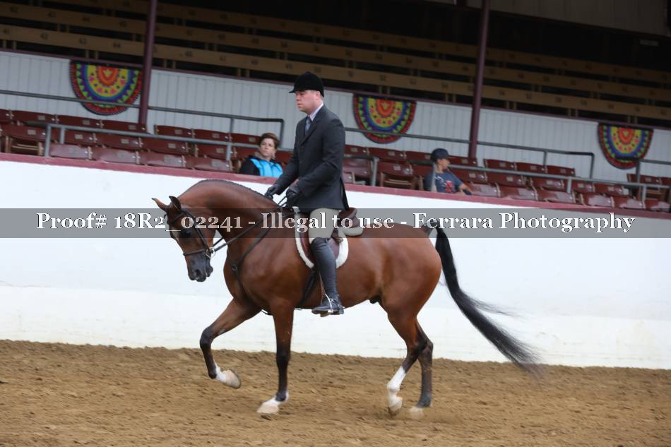 Proof 18R2_02241