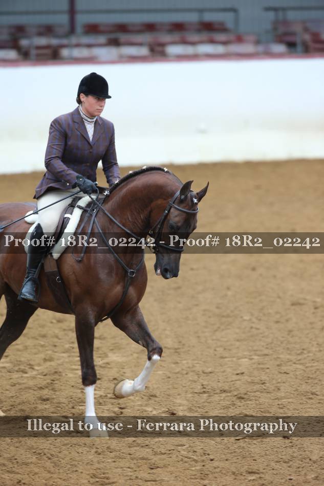 Proof 18R2_02242