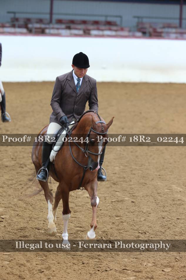 Proof 18R2_02244