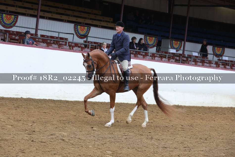 Proof 18R2_02245