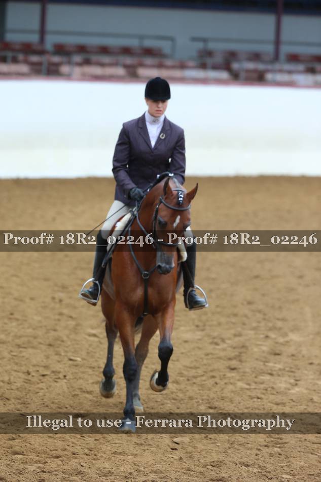 Proof 18R2_02246