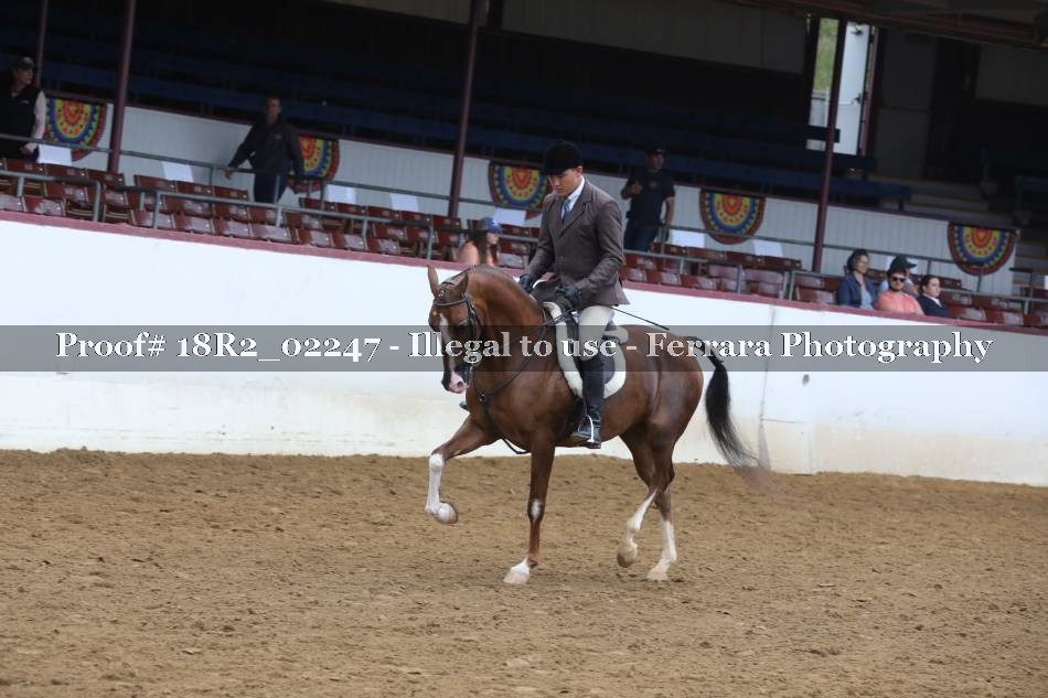 Proof 18R2_02247