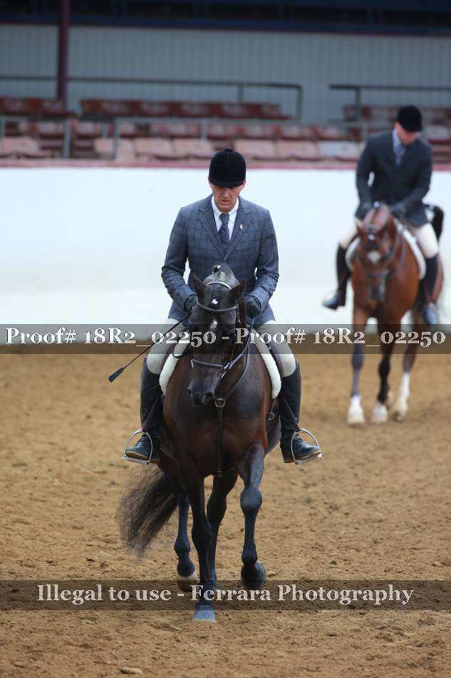 Proof 18R2_02250