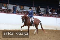 18R2_02252 proof