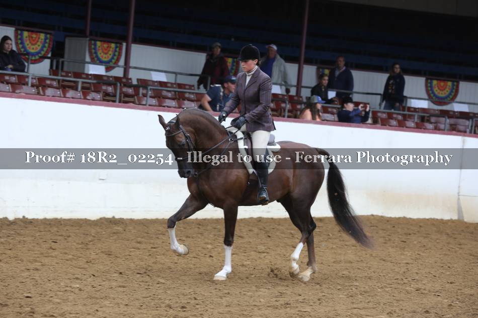 Proof 18R2_02254