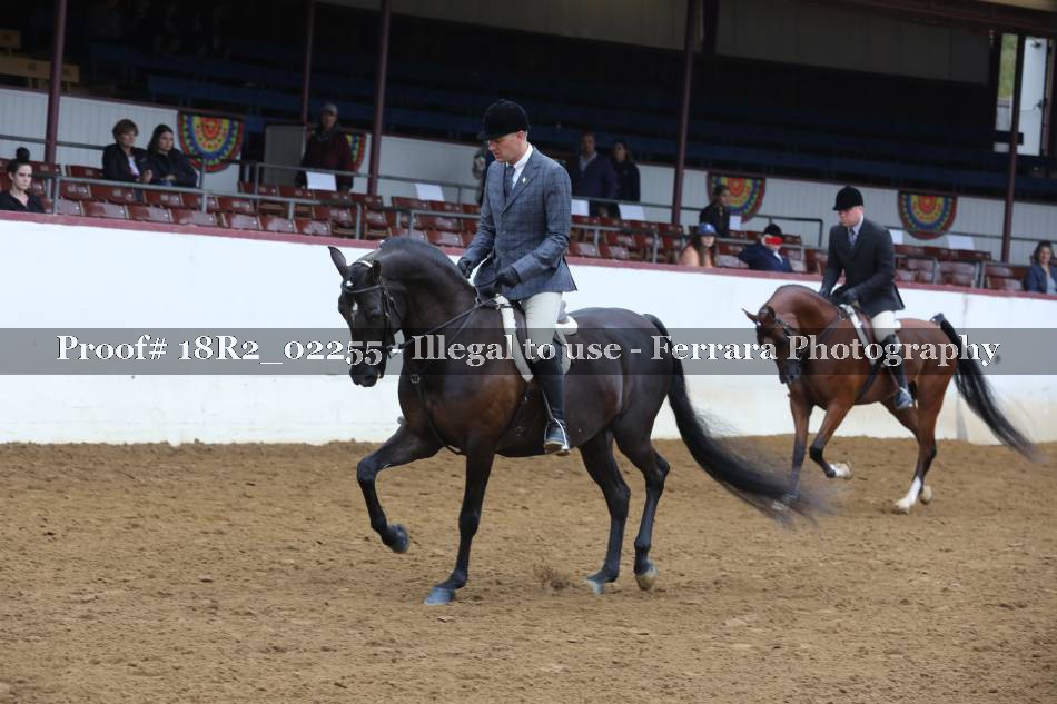 Proof 18R2_02255