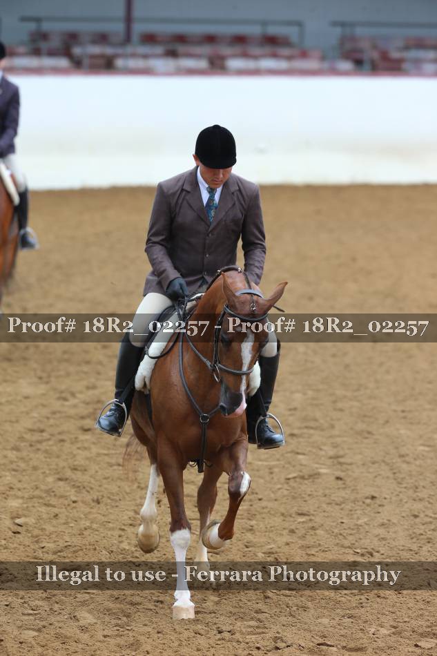 Proof 18R2_02257