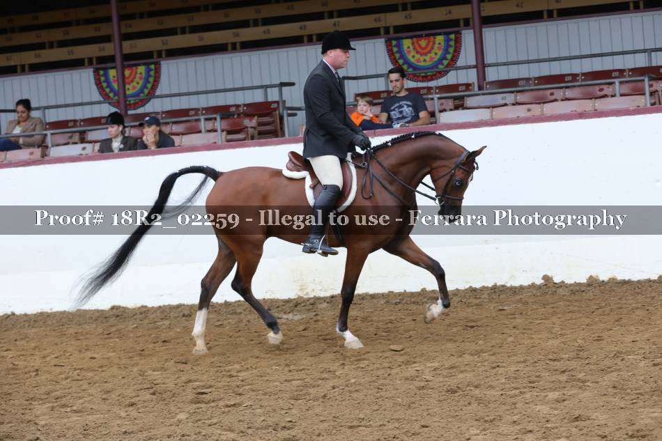 Proof 18R2_02259