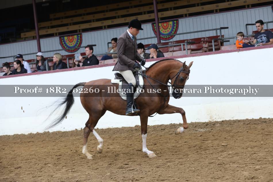 Proof 18R2_02260
