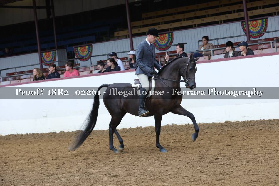 Proof 18R2_02261