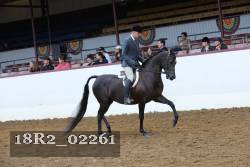 18R2_02261 proof