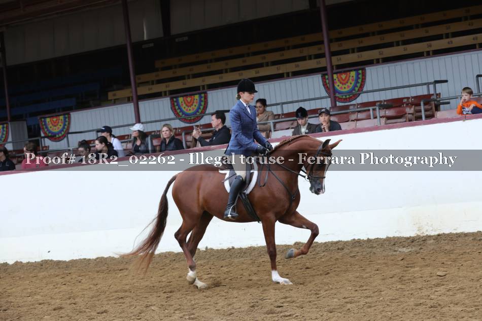 Proof 18R2_02262