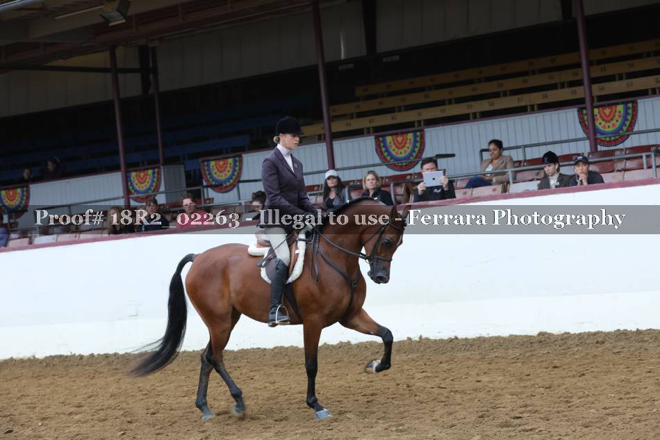 Proof 18R2_02263