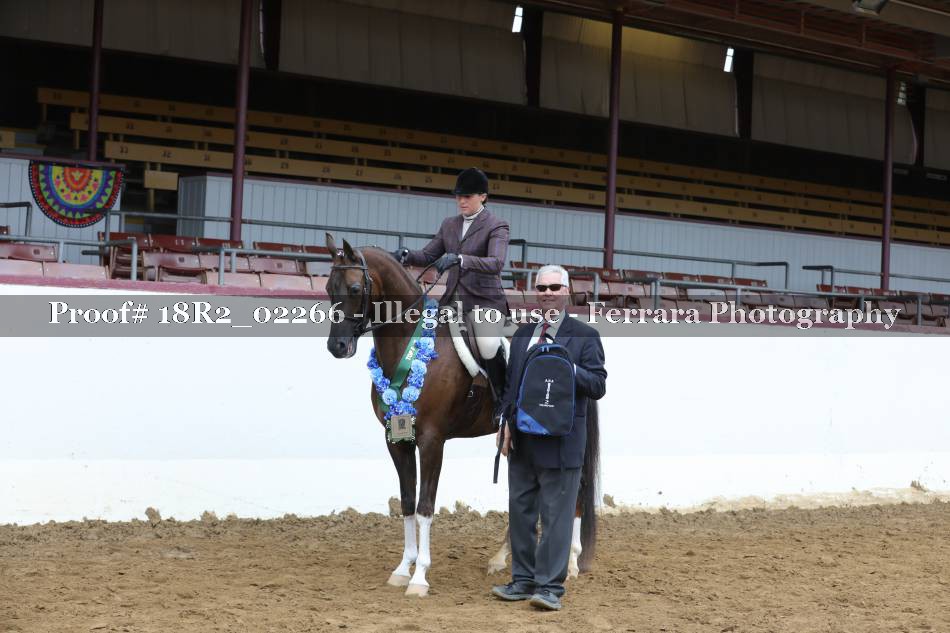 Proof 18R2_02266