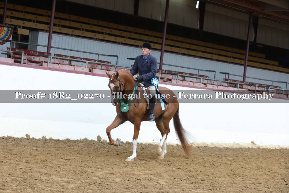 Proof 18R2_02270