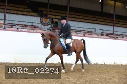 18R2_02274 proof