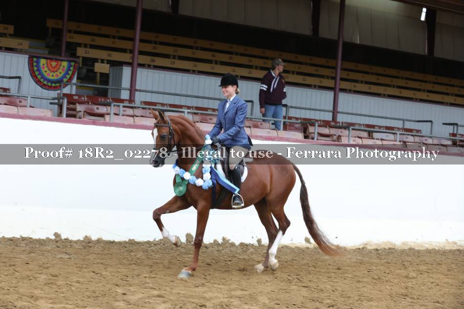 Proof 18R2_02278