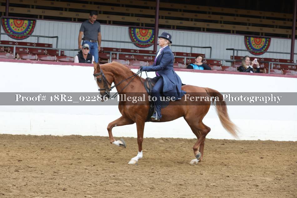 Proof 18R2_02286