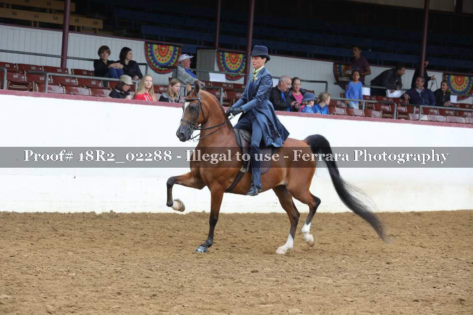 Proof 18R2_02288