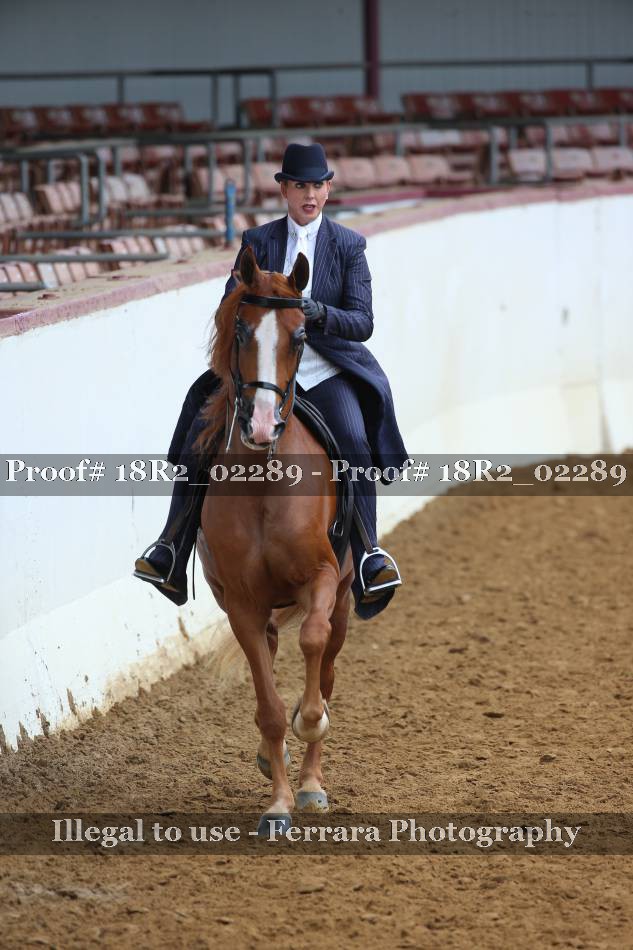 Proof 18R2_02289