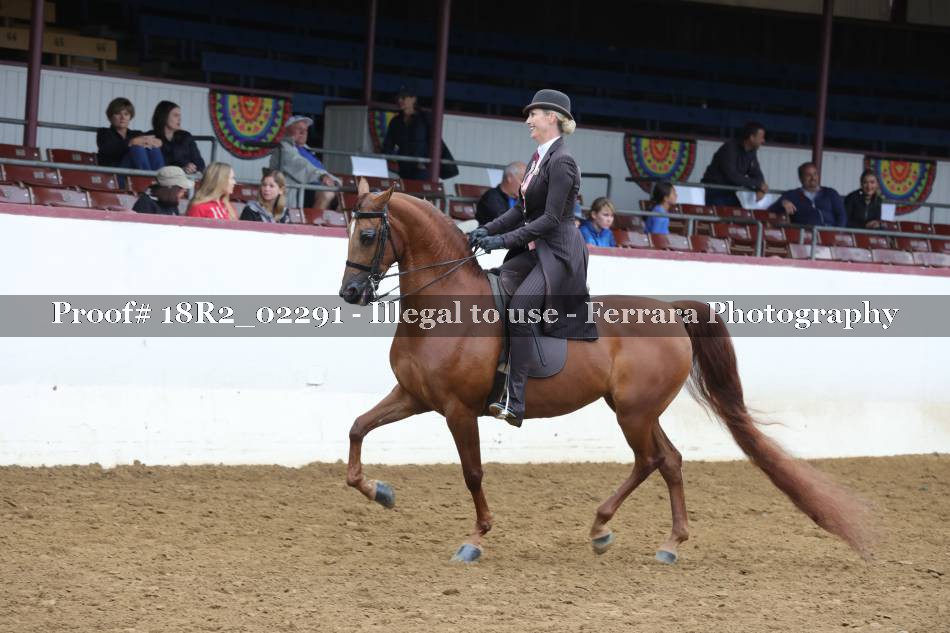 Proof 18R2_02291