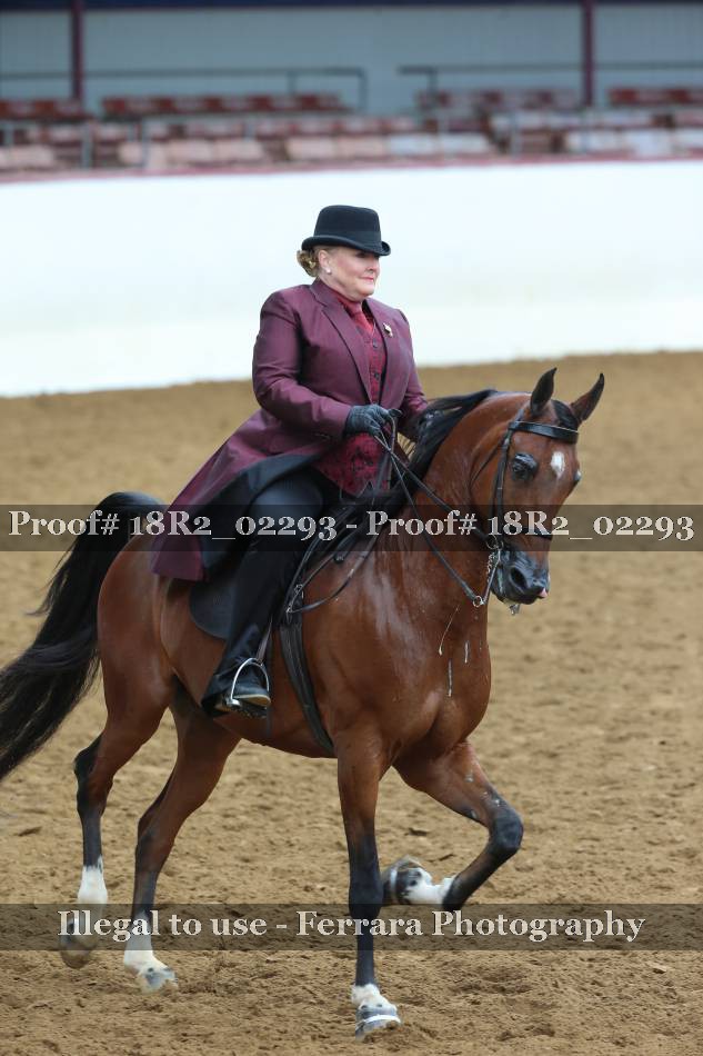 Proof 18R2_02293