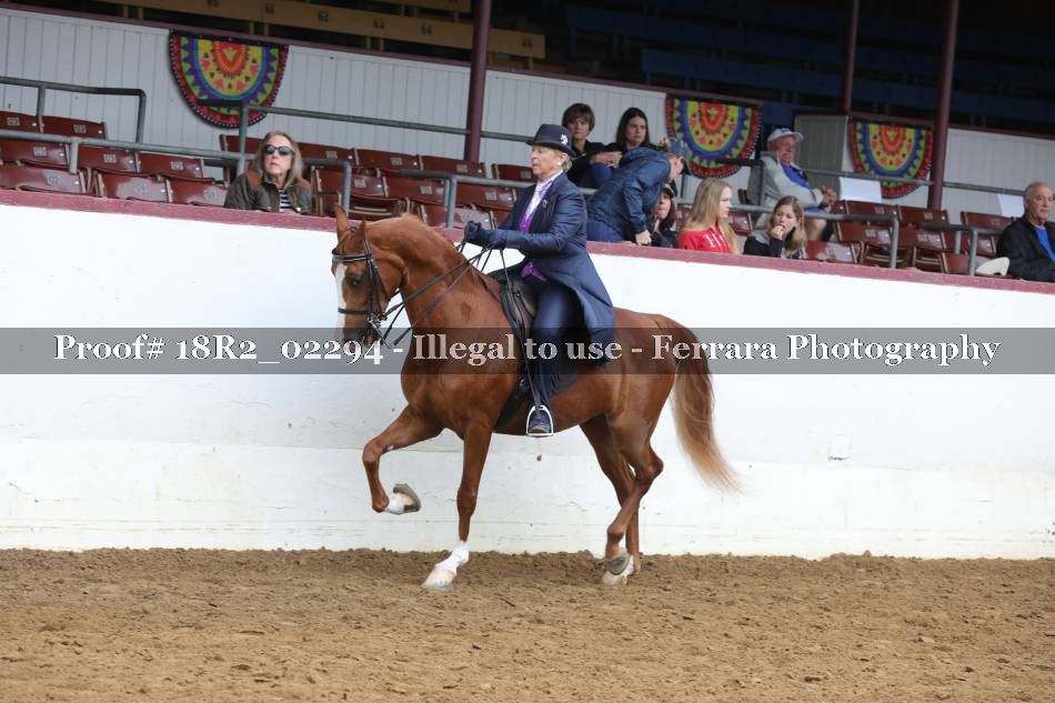 Proof 18R2_02294