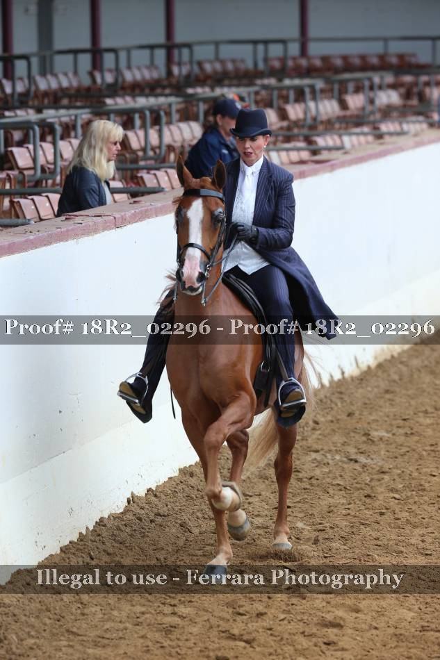 Proof 18R2_02296