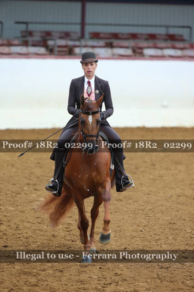 Proof 18R2_02299