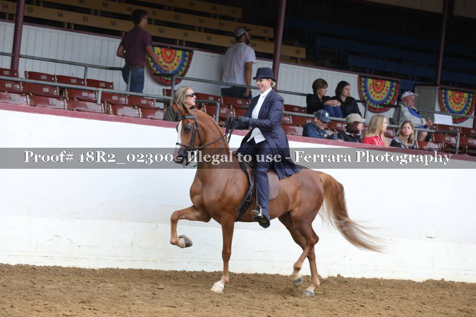 Proof 18R2_02300