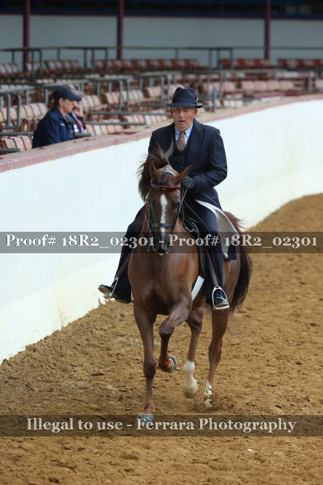 Proof 18R2_02301