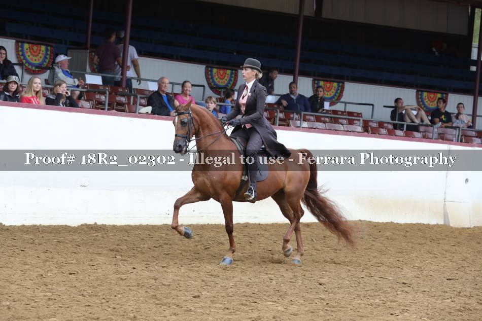 Proof 18R2_02302
