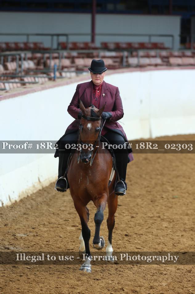 Proof 18R2_02303