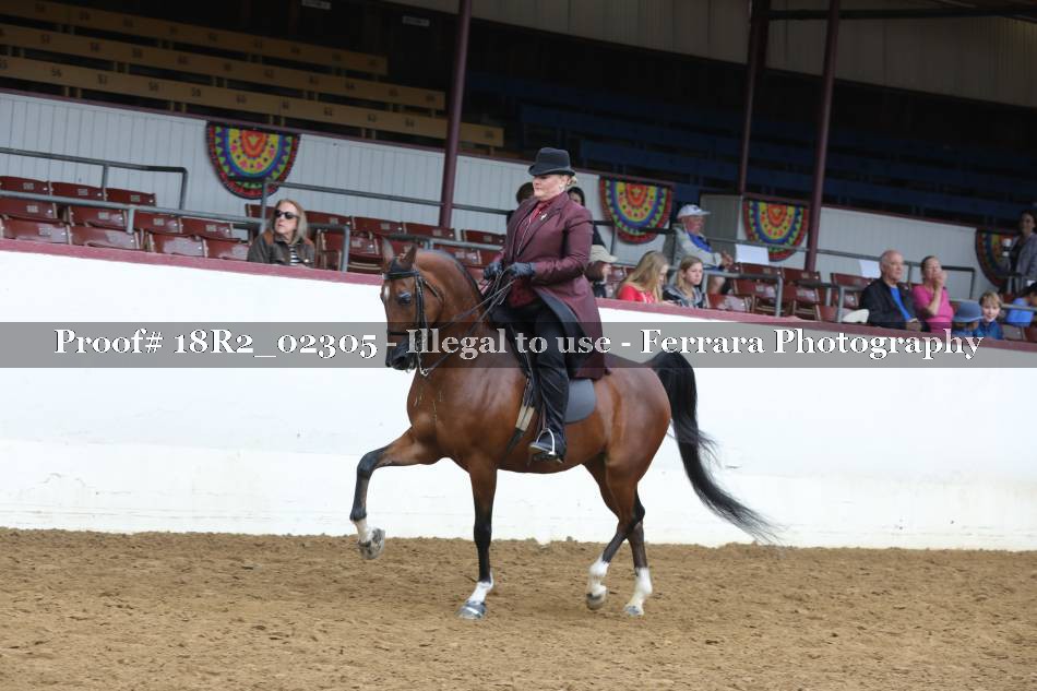 Proof 18R2_02305