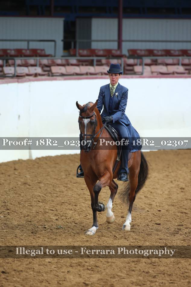 Proof 18R2_02307