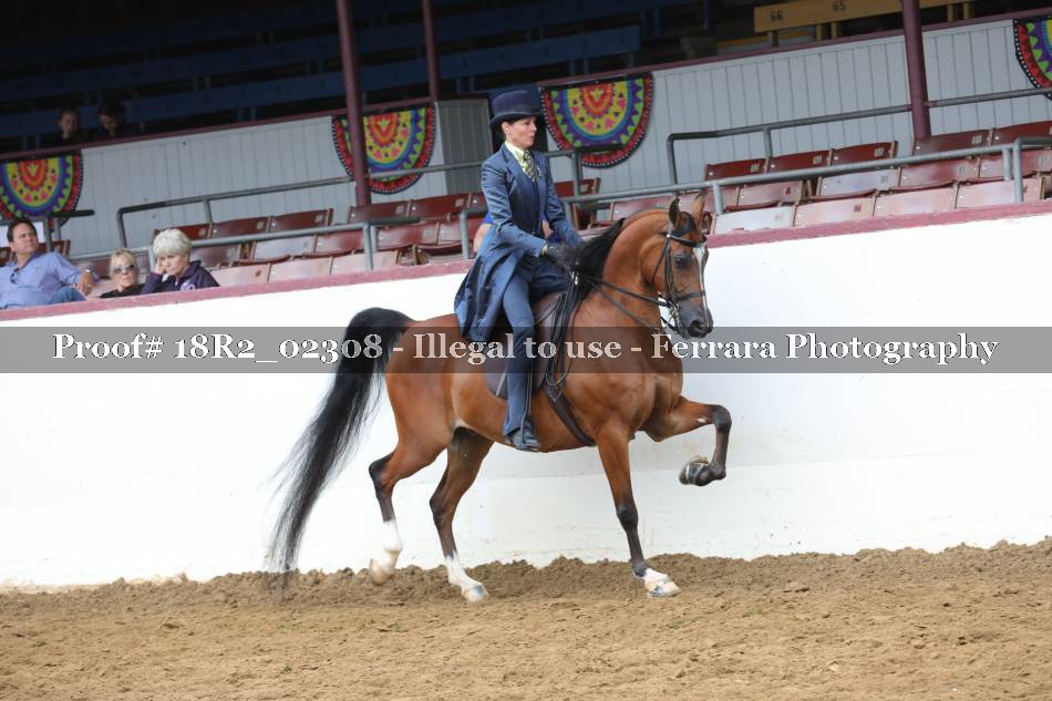 Proof 18R2_02308
