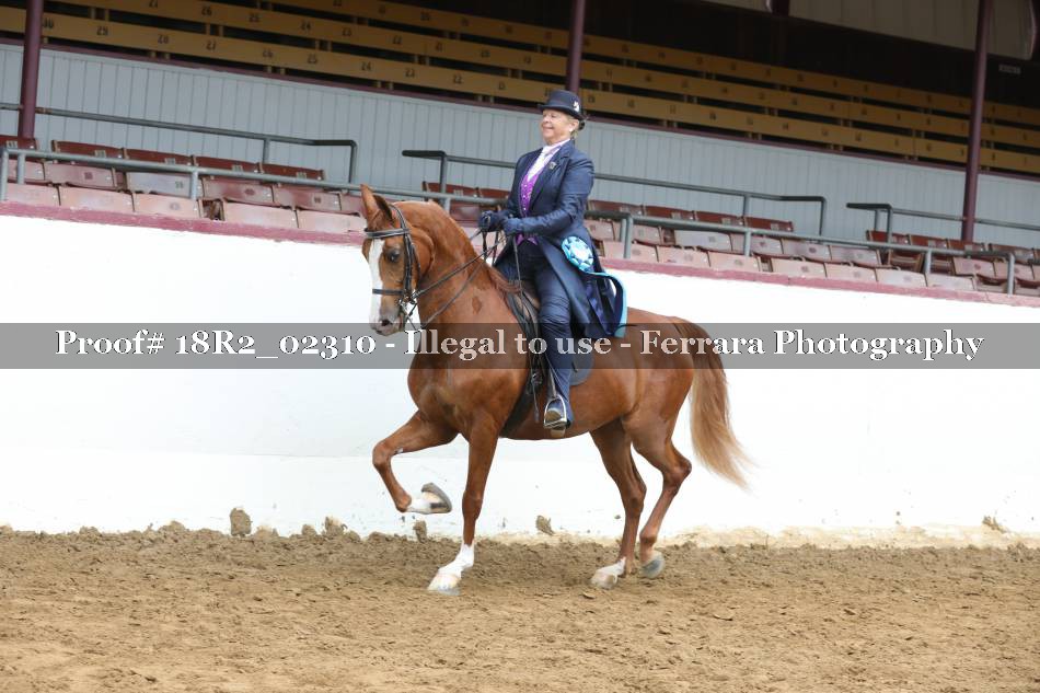 Proof 18R2_02310