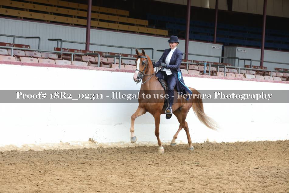 Proof 18R2_02311