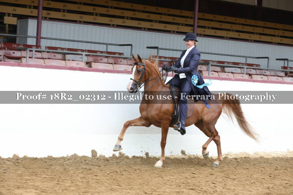Proof 18R2_02312