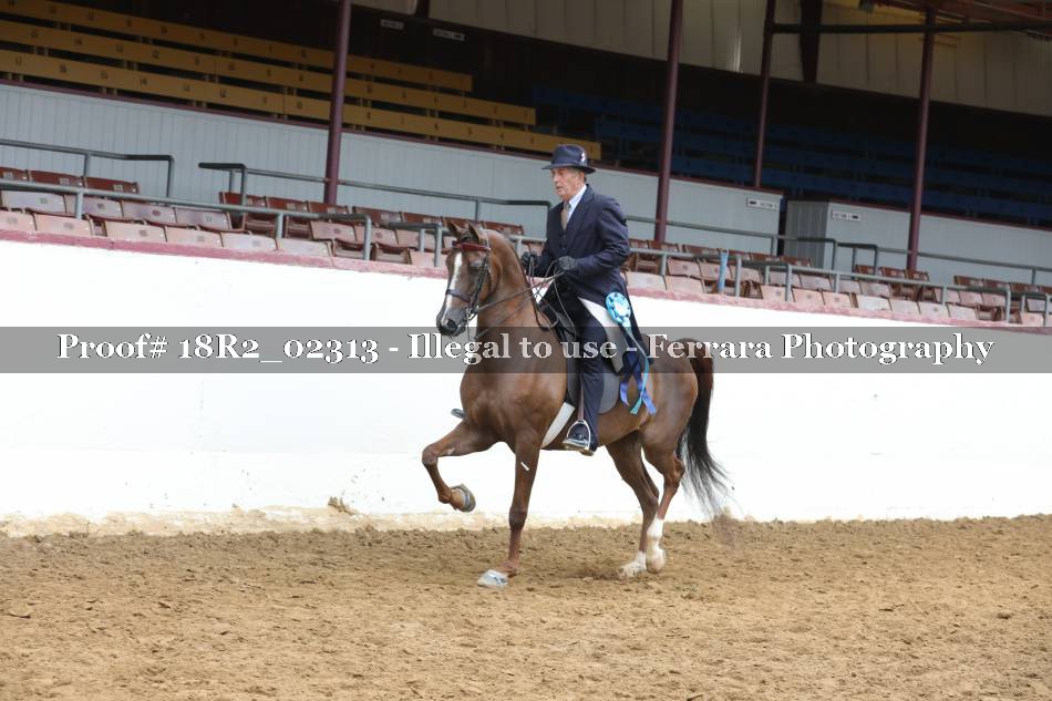 Proof 18R2_02313