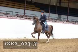 18R2_02313 proof