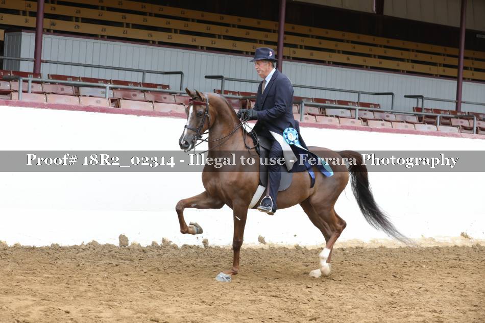 Proof 18R2_02314