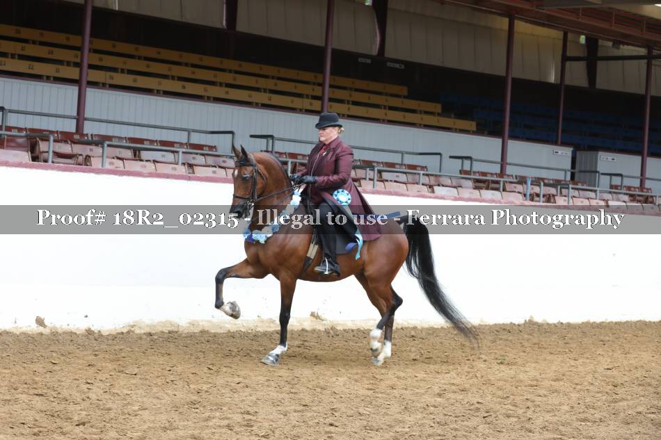Proof 18R2_02315